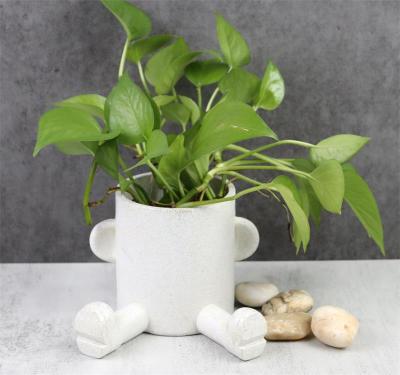  resin plant pot