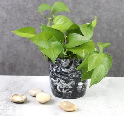  resin plant pot