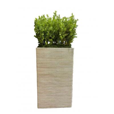  resin plant pot